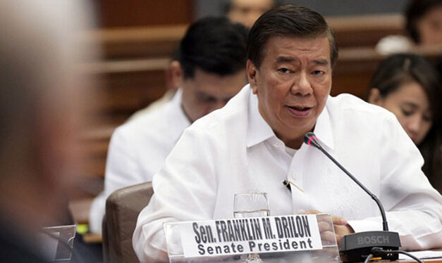 Drilon files charges vs convicted blogger