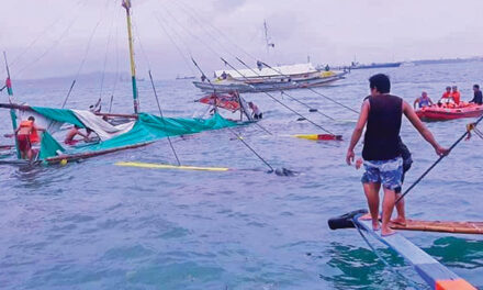 SEVERAL DEAD IN SEA MISHAP