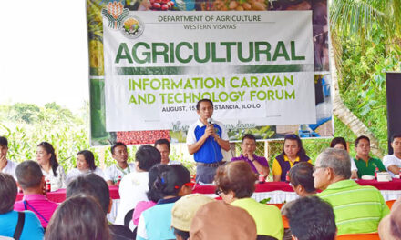 DA reaches out to farmers, fishers of Estancia, Iloilo through Agri Info Caravan