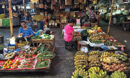 Iloilo City looking for public market investors