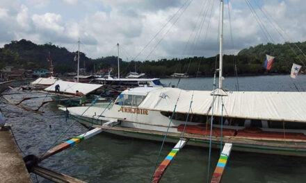 Guimarasnons tell authorities: Lift limits on pumpboat trips