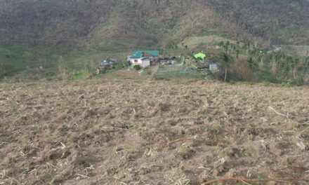 Rays of hope after Yolanda’s Wrath