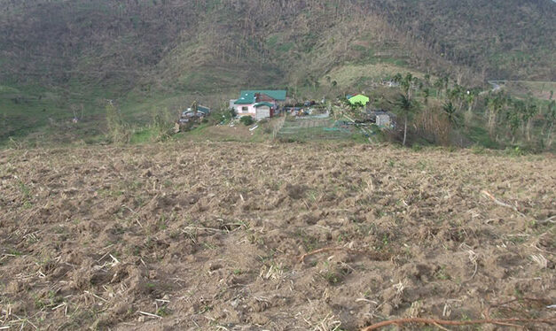 Rays of hope after Yolanda’s Wrath