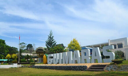 ‘Guimaras is not food self-sufficient’