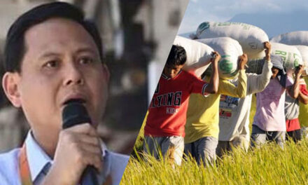 Iloilo eyes supplemental budget to aid farmers