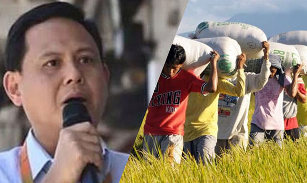 Iloilo eyes supplemental budget to aid farmers