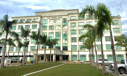 Iloilo Province offers tax amnesty until Dec. 31