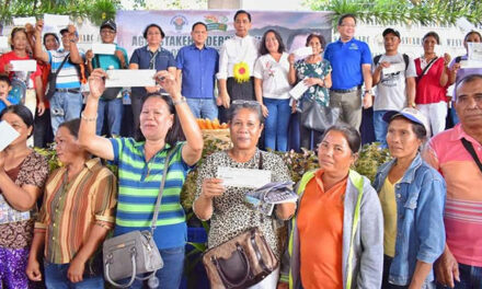 Agri chief turns over various DA projects, interventions to Ilonggo farmers