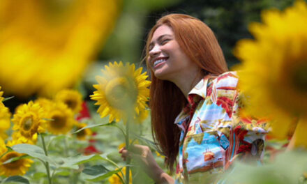 Miagao’s sunflower farm attracts tourists