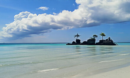 Boracay rehab bears  good results: DOT