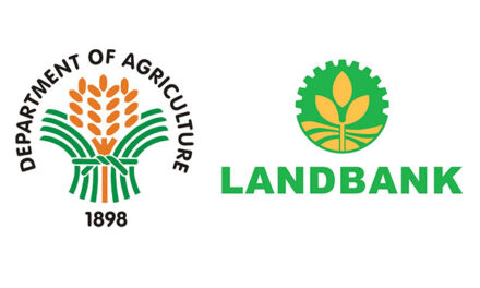 DA, Land Bank distribute P12.8-M SURE Aid to WV rice farmers