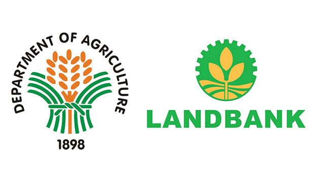 DA, Land Bank distribute P12.8-M SURE Aid to WV rice farmers