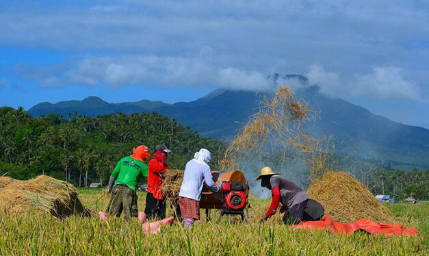 P91.98-M credit assistance for smallholder rice farmers released