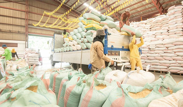 More provinces commit to direct palay purchases, marketing