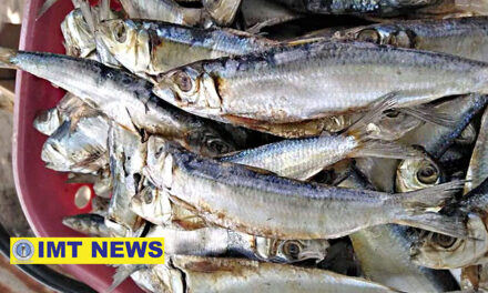 Iloilo lawmaker: ‘Salt tax’ proposal to hurt pockets of Filipinos