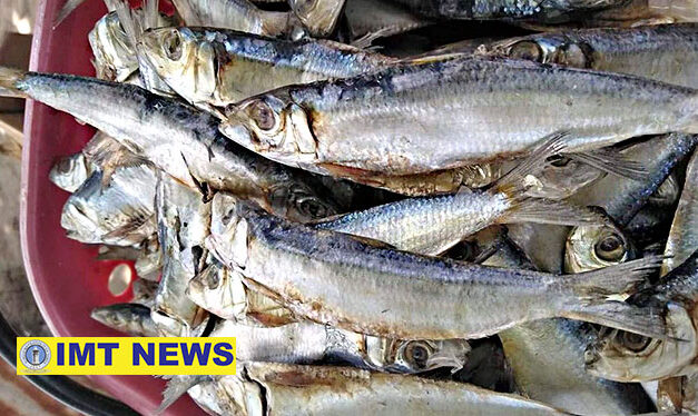 Iloilo lawmaker: ‘Salt tax’ proposal to hurt pockets of Filipinos