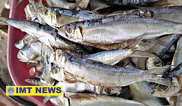 Iloilo lawmaker: ‘Salt tax’ proposal to hurt pockets of Filipinos