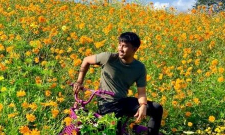 Flower farm in Lambunao lures visitors