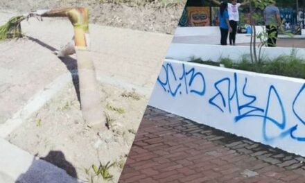 Treñas to regularize ‘green guards’ who arrest vandals