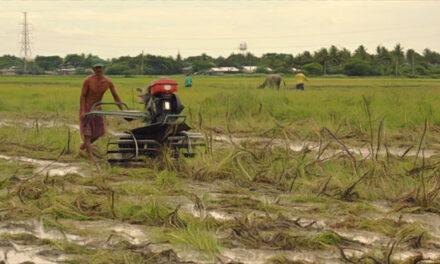 Better coordination among agencies to boost agri employment