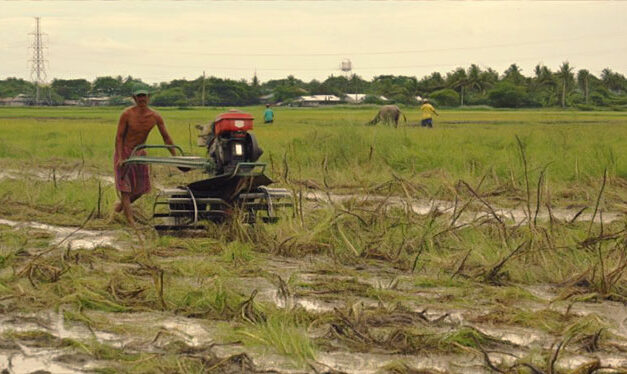 Better coordination among agencies to boost agri employment