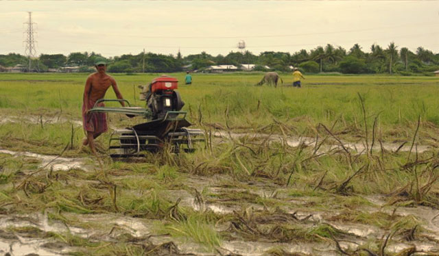 Better coordination among agencies to boost agri employment