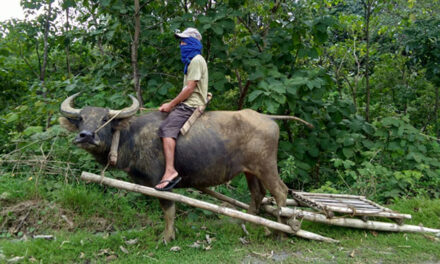 Sustained programs for returnees change rebels’ lives in Tubungan