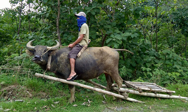 Sustained programs for returnees change rebels’ lives in Tubungan