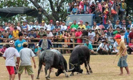 Revival of San Joaquin’s ‘Pasungay’ pushed