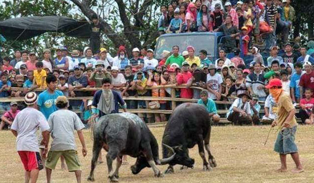 Revival of San Joaquin’s ‘Pasungay’ pushed