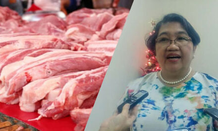 DA-6: Pork supply in Western Visayas sufficient