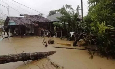 Ursula death toll in Iloilo rises to 6