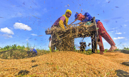 DA chief eyes 2.5-3% Q4 2019 agri growth
