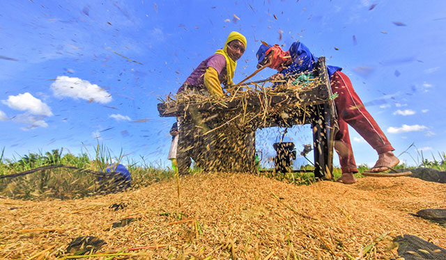 DA chief eyes 2.5-3% Q4 2019 agri growth