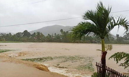 Agri damage in Iloilo due to Ursula hits P24M