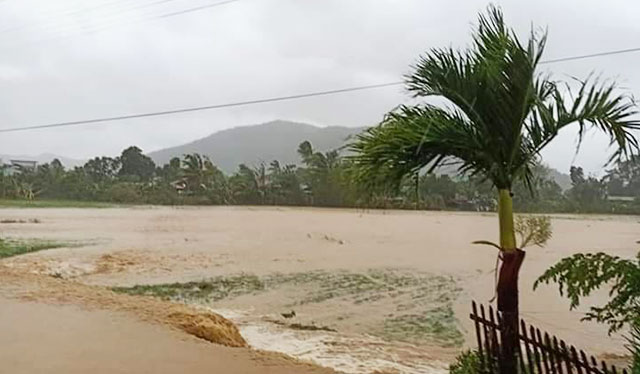 Agri damage in Iloilo due to Ursula hits P24M