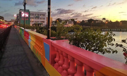 Multi-colored Diversion Bridge earns mixed reactions