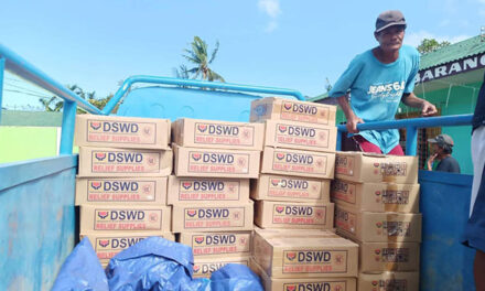 P26.11-M aid given to Ursula victims in Iloilo, Capiz, Aklan Antique