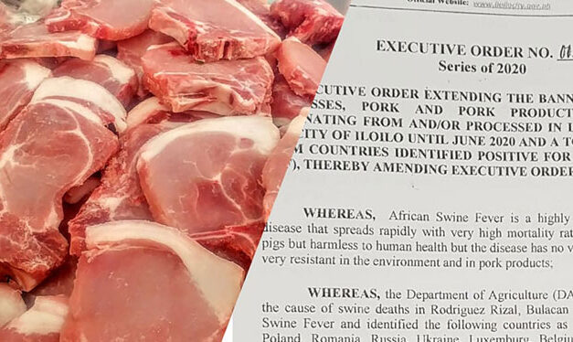 Iloilo City extends ban on pork products