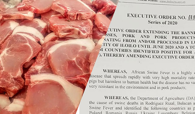 Iloilo City extends ban on pork products