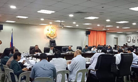 Distura wants OFW help desk institutionalized