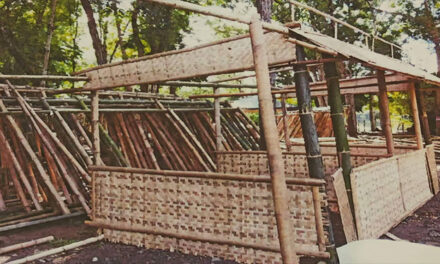 IFFI taps Maasin workers for 300 uniformed bamboo food kiosks