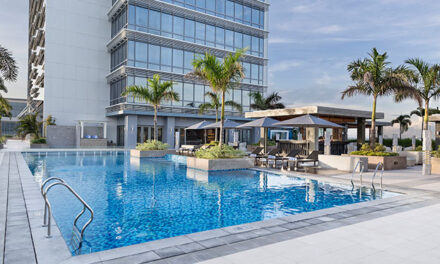 What to do this DINAGYANG 2020