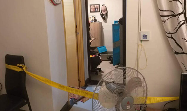 Over P4M stolen from subdivision house in Pavia