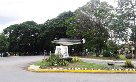 Mild quake hits Zarraga, Iloilo