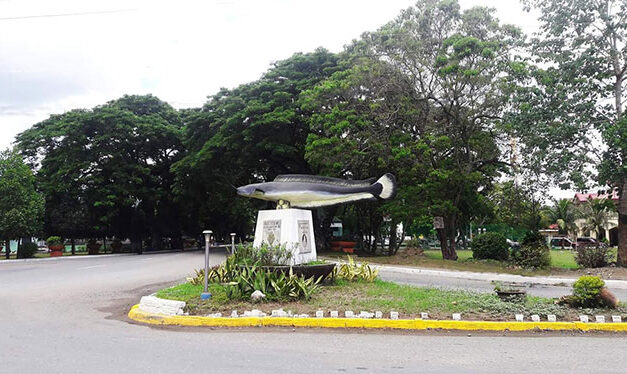 Mild quake hits Zarraga, Iloilo