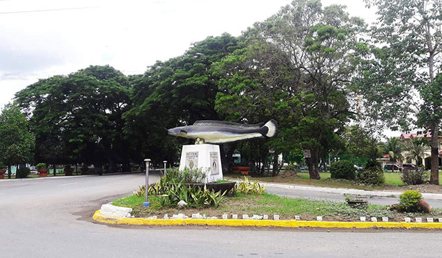 Mild quake hits Zarraga, Iloilo