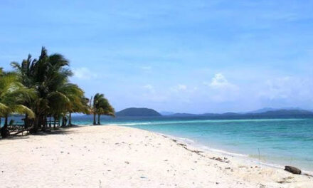 Solar energy viable in Concepcion