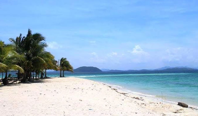 Solar energy viable in Concepcion