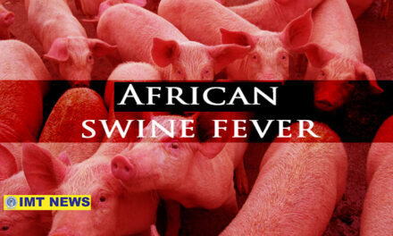 NegOcc maintains ‘very high alert’ against ASF